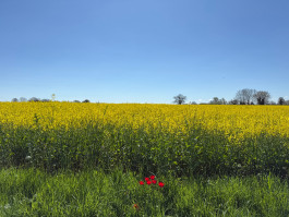 Praxis Wellingsbüttel